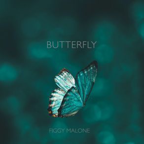 Download track Butterfly Figgy Malone