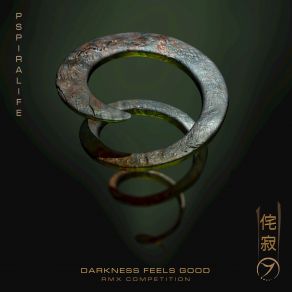 Download track Darkness Feels Good (Nocturnal Remix) Pspiralife