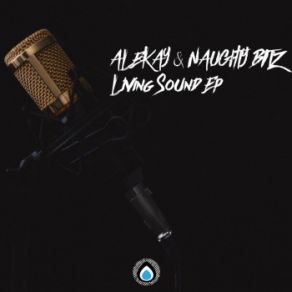 Download track Break Up (Original Mix) Alekay, Naughty Bitz