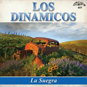 Download track Si Vieras Los Dinamicos