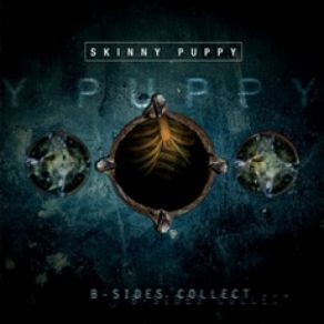 Download track Shore Lined Poison (Remix) Skinny Puppy