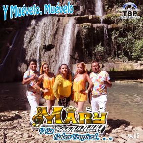 Download track La Cumbia De La Serenata Su Sabor Tropical