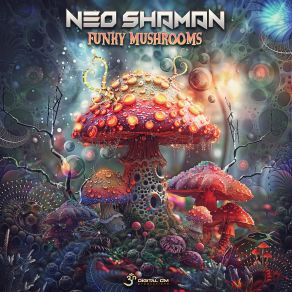 Download track Light In The Darkness (Original Mix) Neo Shaman