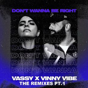 Download track Don't Wanna Be Right (Ryan Nichols Remix) Vinny VibeRyan Nichols