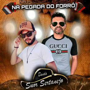 Download track Mete Sua Boca Na Minha Banda Suor Sertanejo