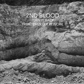 Download track Turn It Back (Trentemoller Rework) Trentemøller, 2nd Blood