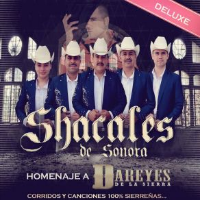 Download track Yo Ya Me Voy Shacales De Sonora