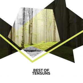 Download track Violins TenSuns