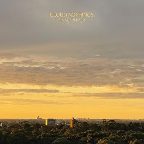 Download track Thank Me For Playing Cloud Nothings