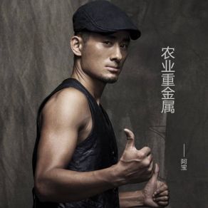 Download track 锣鼓喧天 A Bao