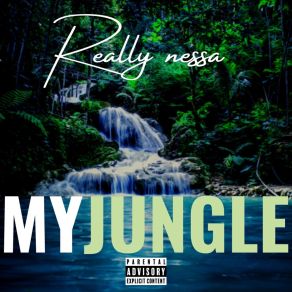 Download track My Jungle Streetdown EntReally Nessa