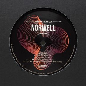 Download track Irregular Pulses Norwell