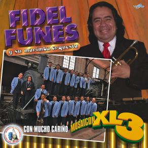 Download track La Varita De Caña Fidel Funes, Su Marimba Orquesta