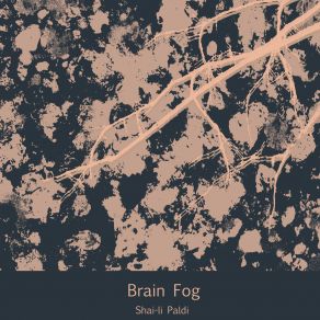 Download track Brain Fog Shai-Li Paldi