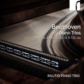 Download track Piano Trio In C Minor, Op. 1 No. 3: II. Andante Cantabile Con Variazioni' Rautio Piano TrioRautio Trio