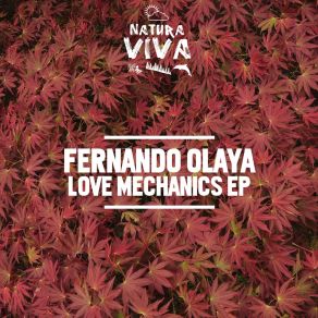 Download track Butterfly Fly Away (Original Mix) Fernando Olaya