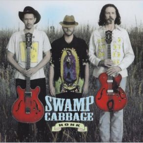 Download track Silver Meteor Swamp Cabbage