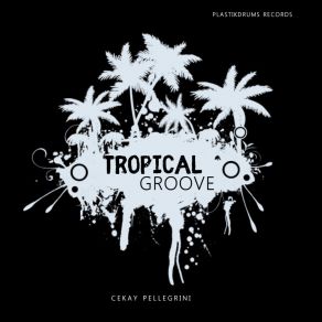 Download track Tropical Groove Cekay Pellegrini