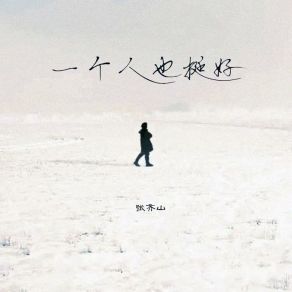 Download track 一个人也挺好 张齐山