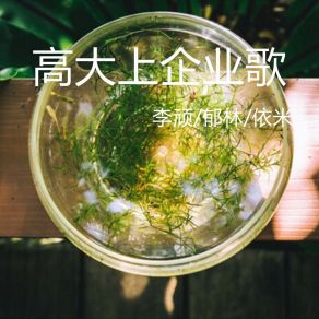 Download track 高大上企业歌 李顽Yu Lin, 依米