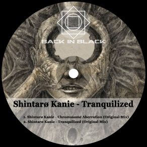 Download track Tranquilized (Original Mix) Shintaro Kanie