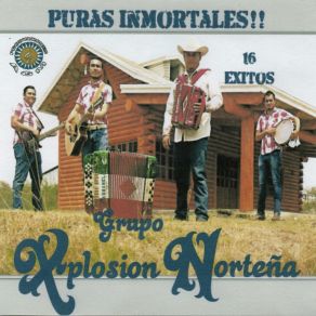 Download track Sombrero Blanco Grupo Xplosión Norteña