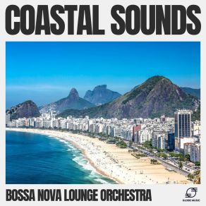 Download track Soft Nights Bossa Nova Lounge Orchestra