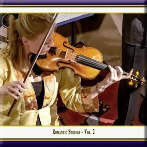 Download track Serenade For Strings In E Major, Op. 22, B. 52: IV. Larghetto (Live) Beethoven Academy Orchestra