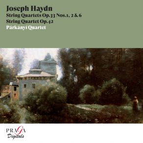 Download track String Quartet In B-Flat Major, Op. 33 No. 4, Hob. III: 40: III. Largo Párkányí Quartet