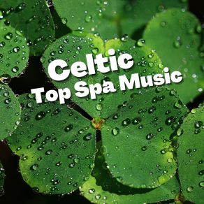 Download track After The Battle Celtic Music