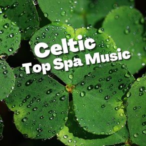 Download track Celtic Dreams For Midnight Celtic Music