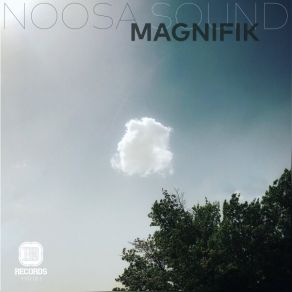 Download track Noosa Sound (Diamond Lights Garage Mix) MagnifikDiamond Lights