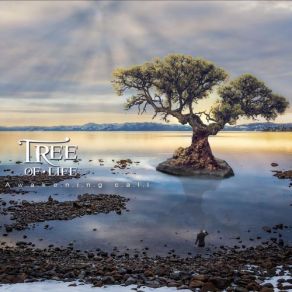 Download track The Greatest Gift From God Tree Of Life