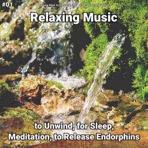 Download track Relaxing Music, Pt. 44 Relaxing Spa Music