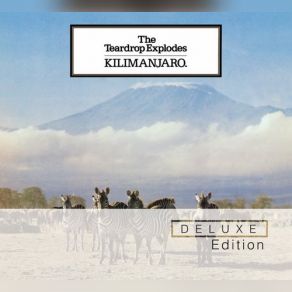 Download track Kilimanjaro The Teardrop Explodes