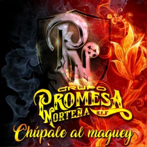 Download track El Potro Lobo Gateado Promesa Norteña De San Luis