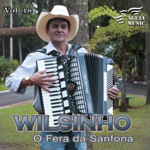 Download track Loirinha Dançadeira Wilsinho O Fera Da Sanfona