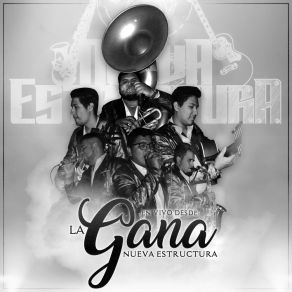 Download track Flor Hermosa (En Vivo) Nueva Estructura