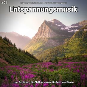 Download track Entspannungsmusik Pt. 70 Entspannungsmusik