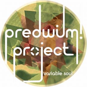 Download track Variable Soul (Extended Mix) PredWilM! Project