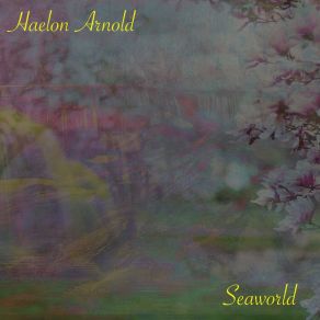 Download track Seaworld (Radio Edit) Haelon Arnold