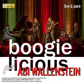 Download track Same Old Blues Abi Wallenstein, Eeco Rijken Rapp, David Herzel, Boogielicious, Bertram Becher