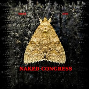 Download track How Many Lives Naked Congress