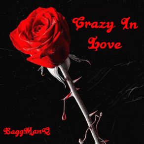 Download track Crazy Love BaggManQ