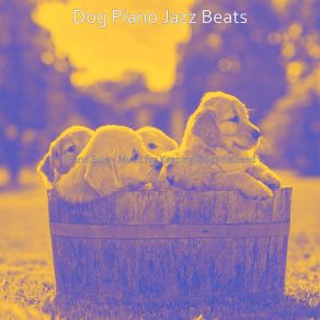 Download track Sparkling Keeping Dogs Relaxed Dog Jazz Beats