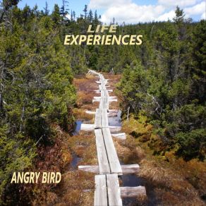 Download track An Unheard Message Angry Bird