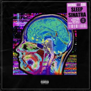 Download track The Long Route Sleep SinatraStik Figa