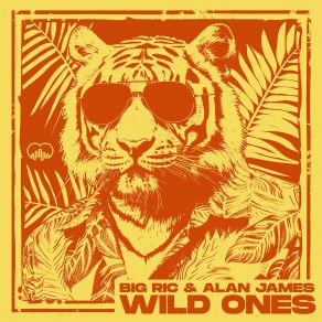 Download track Wild Ones (Hardcore Extended Mix) Alan James