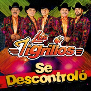 Download track El Enfermito Los Tigrillos