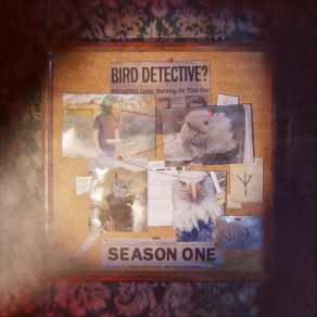 Download track Ethics Bird DetectiveMax Tulysewski